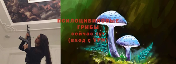 соль курить ск Алексеевка