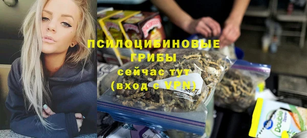 стафф Абаза