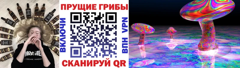 mega маркетплейс Томари Псилоцибиновые грибы Psilocybine cubensis